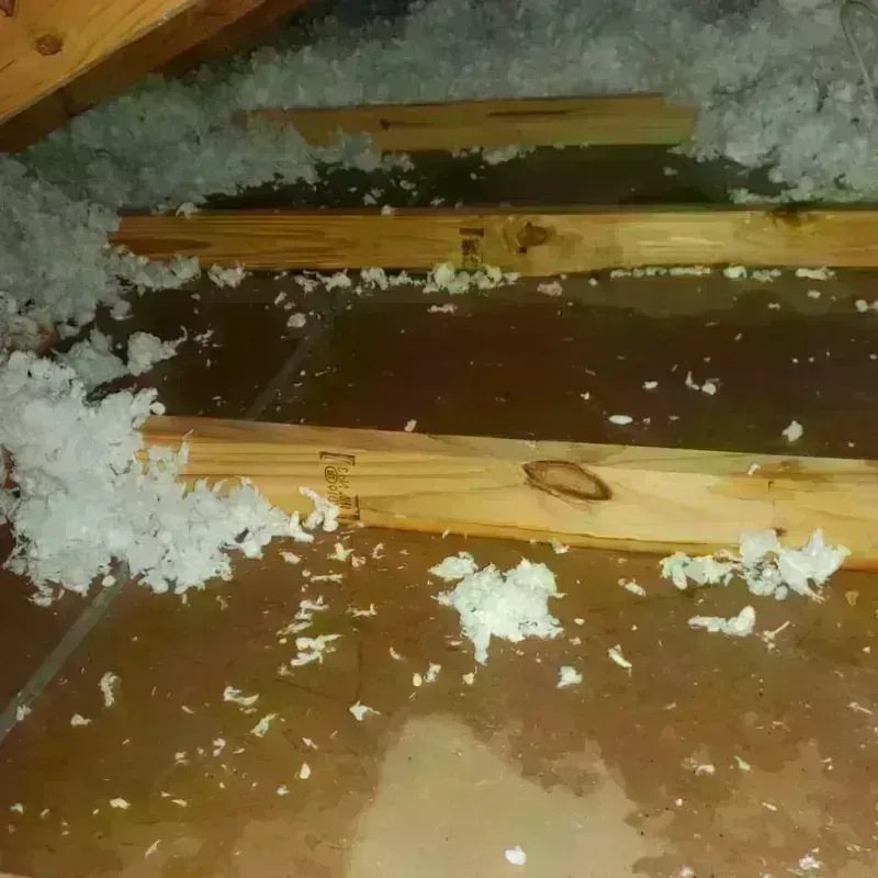 Attic Water Damage in Ogle County, IL