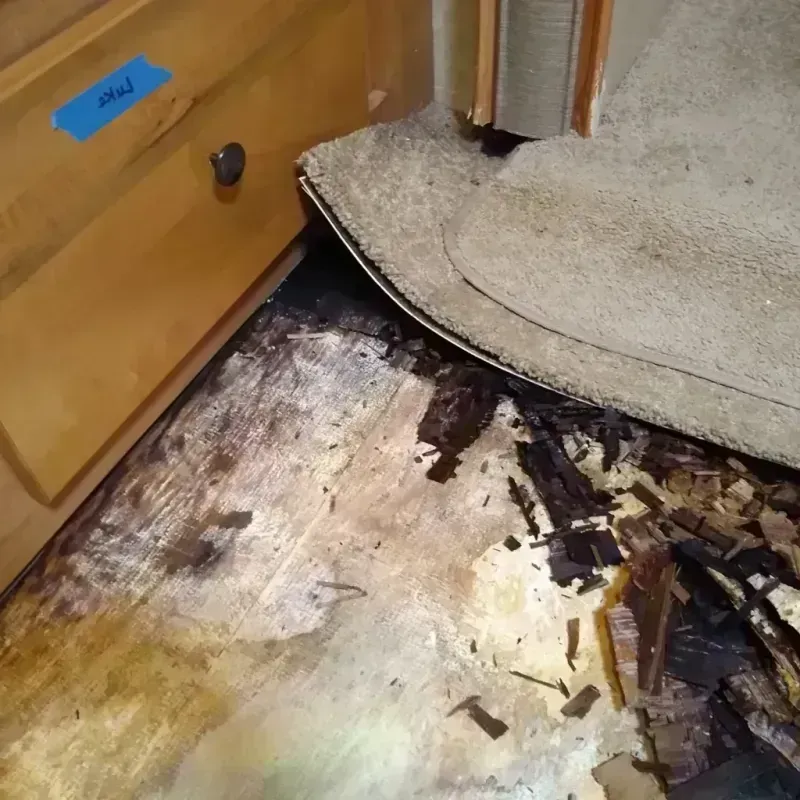 Wood Floor Water Damage in Ogle County, IL